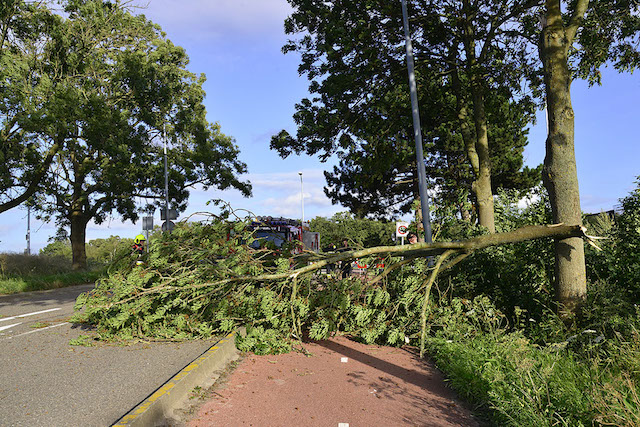 2017/159/20170803-19u41 GB 001 Stormschade Schipholdijk.jpg